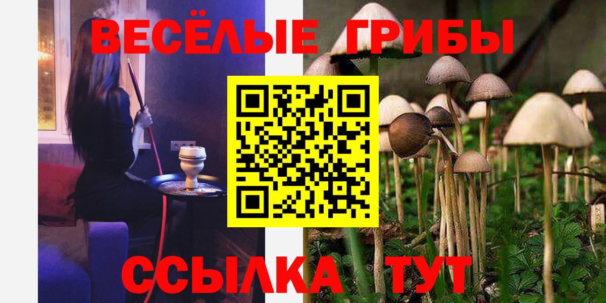 Рубцовск  Псилоцибиновые грибы мицелий  Вход с VPN 